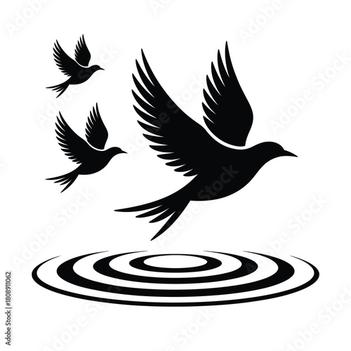 Silhouette of birds taking flight from rippling water surface