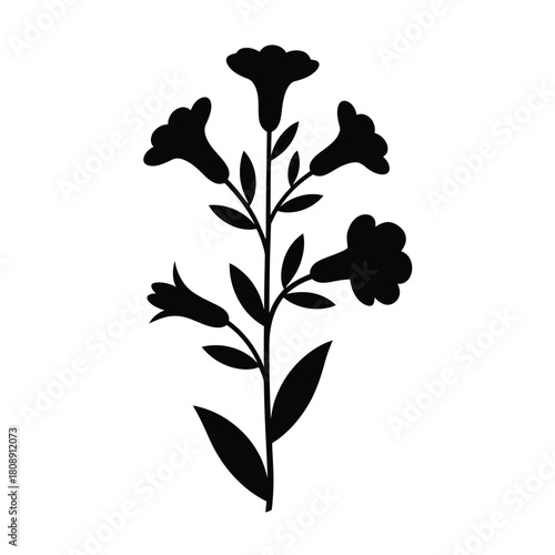 Black silhouette of a flowering plant with multiple blooms
