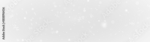 White Snowflake Illustration
