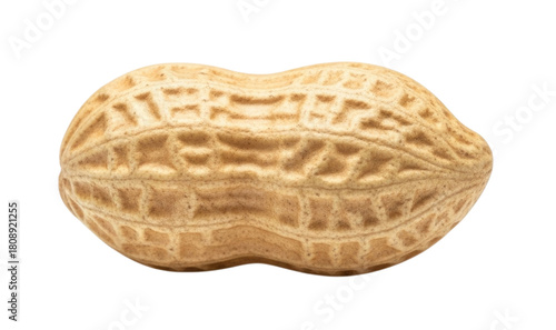 Single Whole Unshelled Peanut Nut Pod Isolated Cutout Transparent PNG