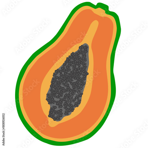 Vivid papaya half with bright orange flesh and a dark seed cavity conveys tropical freshness. Green outline hints at natural, healthy flavor, perfect for food, health, and dessert themes.
