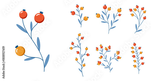 Set of wild berries. Winter plants. Winter branches and leaves. Winter floral elements. Holiday decoration. Vector illustration