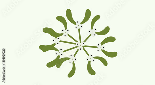 A stylized illustration of mistletoe branches arranged in a symmetrical, circular snowflake pattern on a light background.