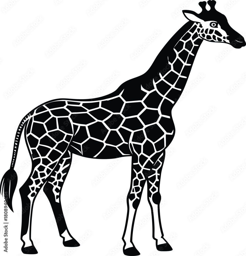 Naklejka premium Stylized black and white illustration of a majestic giraffe with distinctive patterned coat standing tall