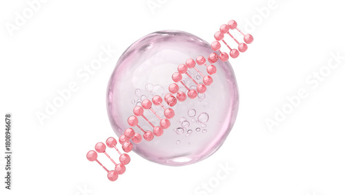 Pink DNA Helix and Bubble for PDRN Salmon DNA and Collagen Peptide