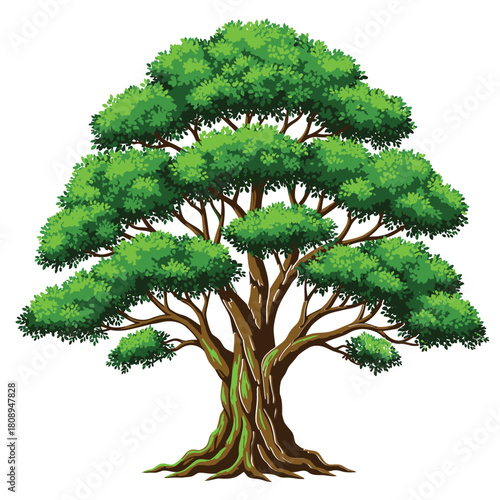 Illustration of a big tree with green leaves