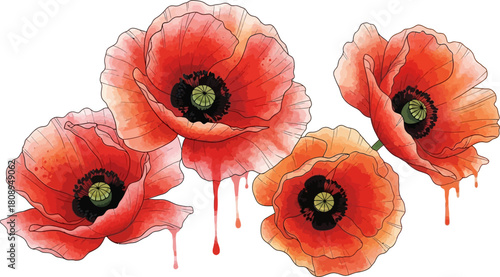 Adobe Illustrator Artwork