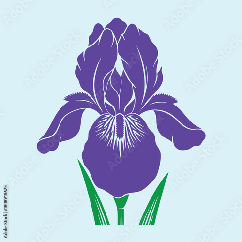 Elegant purple iris flower illustration with green leaves on light blue background