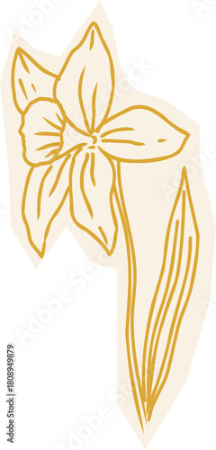 Easter Doodle Line Spring Sketch. Flower narcissus