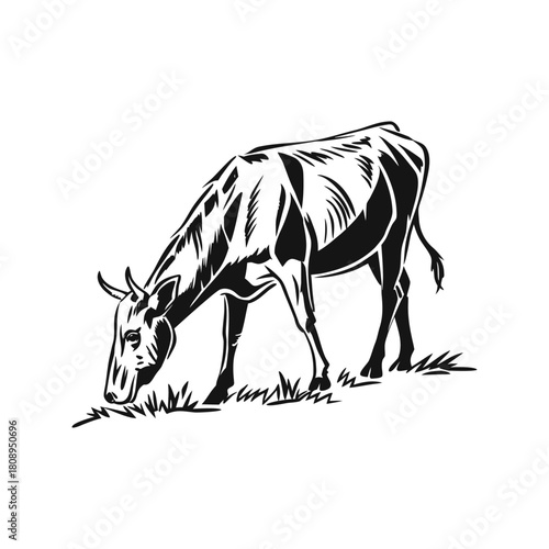 Black and white sketch of a cow grazing in a field
