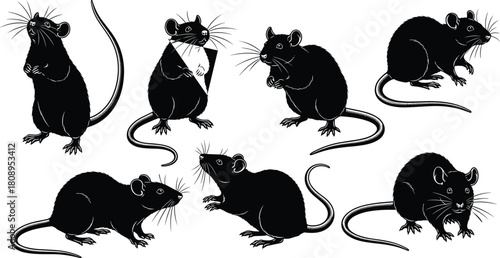 Rat and mouse silhouette collection, detailed black vector illustration set, rodents in various poses, wildlife design elements for graphics