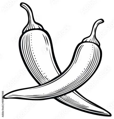 Two hot chili peppers drawing in black and white outline style isolated on white