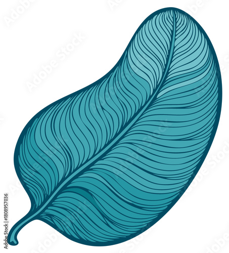 Vibrant Teal Decorative Leaf Illustration with Elegant Wavy Lines and Artistic Design