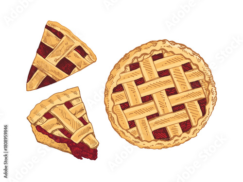 Hand drawn vintage sketch of cherry lattice pie and slices in color