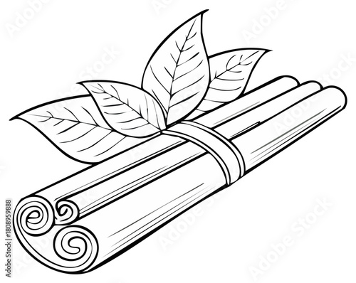 Cinnamon Sticks Tied with Leaves Line Art Still Life Illustration