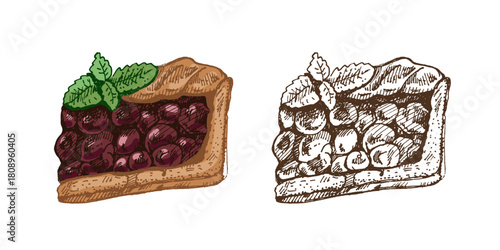 Hand drawn vintage sketch of cherry pie slice with mint leaves in color and monochrome, vector illustration