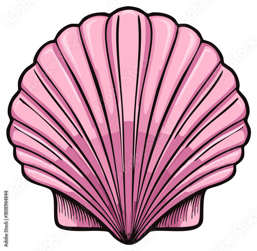 Pink Seashell Illustration with Black Outline and Ribbed Texture