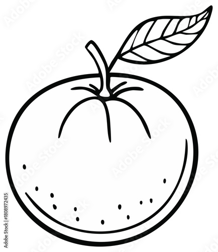 Citrus fruit outline with leaf isolated, hand-drawn illustration for coloring book