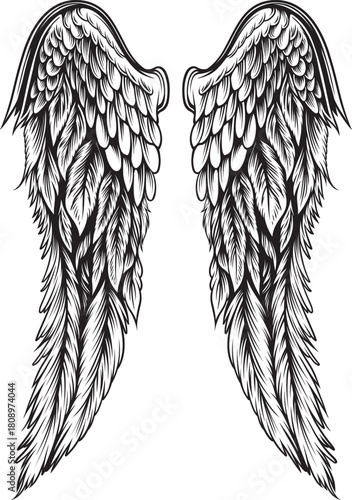 Wings Illustration in tattoo style