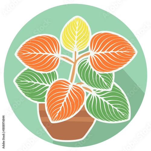 Stylized Indoor Plant in Pot with Colorful Foliage on a Soft Green Circular Background