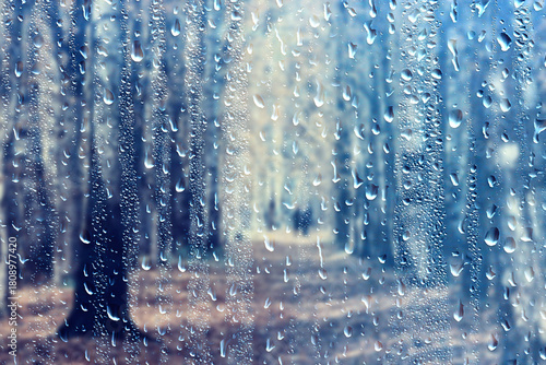 raindrops on glass blurred autumn background trees in the park, seasonal backdrop rainy weather