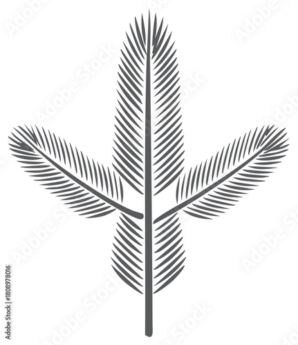 Stylized Evergreen Bough Element Vector Illustration for Winter or Christmas Design