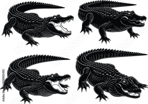 Set of four black crocodile or alligator silhouettes, wild reptile predators, danger warning sign, isolated vector illustration elements