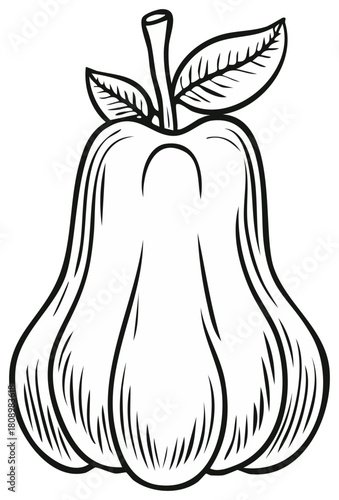 Rose apple outline illustration with leaves and stem drawn with thick black lines for coloring books