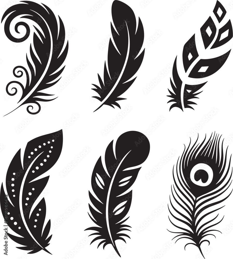 Obraz premium Six black and white decorative feather graphic elements with varied designs vector