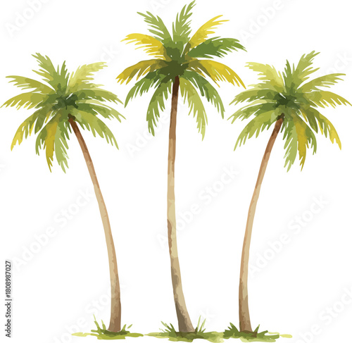 Three vibrant green palm trees with textured brown trunks and lush fronds stand tall against a clean white background