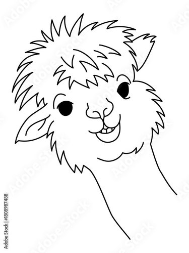 A bold black and white vector illustration of a alpaca head black and white  head.Hand drawn funny portrait of baby llama. Black and white line drawing for coloring page .Cute outline vector 