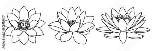 Minimal lotus flower line art vector illustration set,Hand-drawn lotus flower line,Simple floral outline for logo and desige