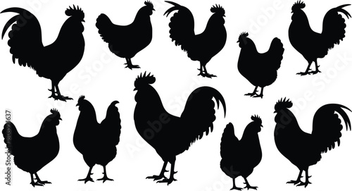 Chicken silhouette collection, rooster and hen shapes, poultry vector set, farm animal icons, black bird outlines, livestock illustration bundle