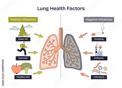 Lung health factors diagram contrasts positives and negatives, clean air, exercise, diet vs smoking, pollution, infections, main objects, lungs, cigarette, smokestack. Doodle style diagram
