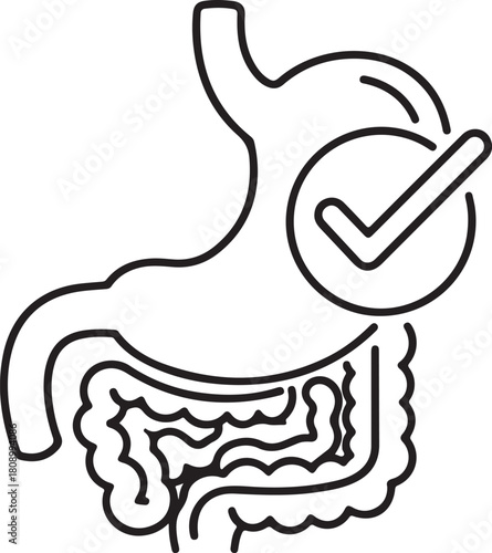 Healthy digestive system icon good gut health stomach and intestines illustration
