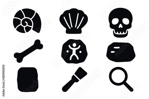 Silhouette fossil and archaeology icons set with shells and tools
