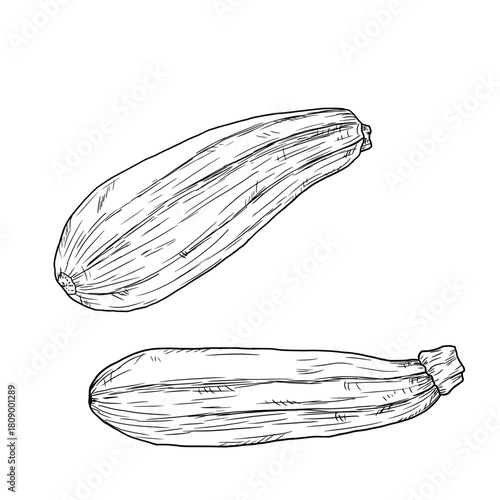 Wallpaper Mural Zucchini and eggplant, a set of silhouettes, sketch. Vector illustration. Farm vegetables are isolated on a white background. The theme of cuisine, restaurants, farmers fairs, and cookbooks and menus Torontodigital.ca