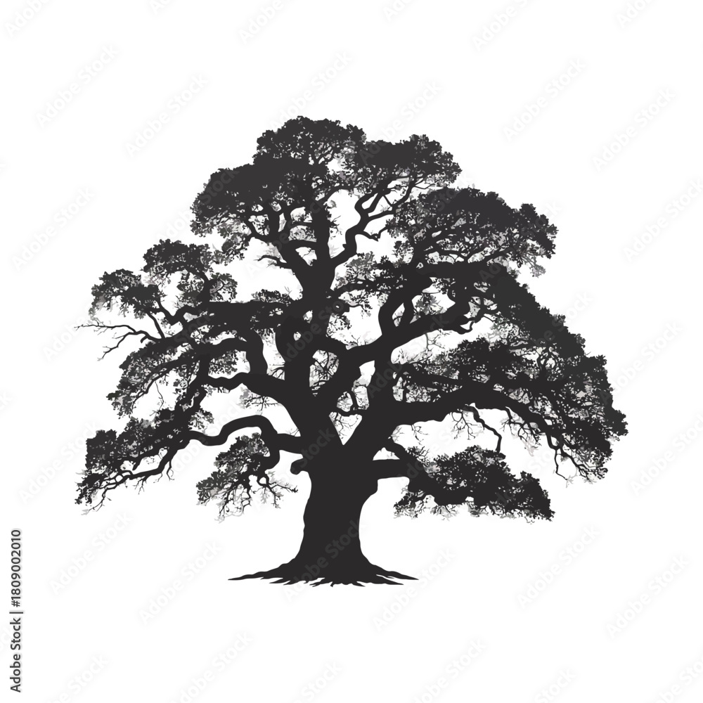 Fototapeta premium Silhouette of a majestic tree isolated on, symbolizing nature, growth, resilience, and the enduring beauty of the natural world