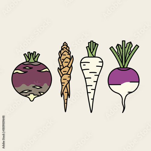 Four root vegetables illustrated in a simple flat style
