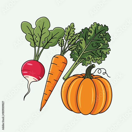 Cartoon illustration of a radish carrot and pumpkin with green leaves