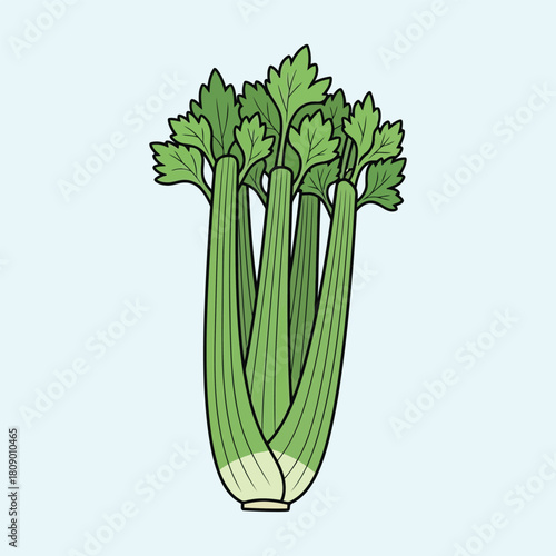 Green celery stalks with leafy tops on light blue background