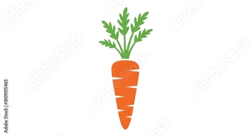 Simple illustration of a fresh orange carrot with green leaves