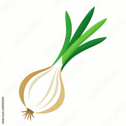  onion isolated