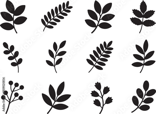 Twelve different black leaf shapes and branches are displayed on a white background clearly