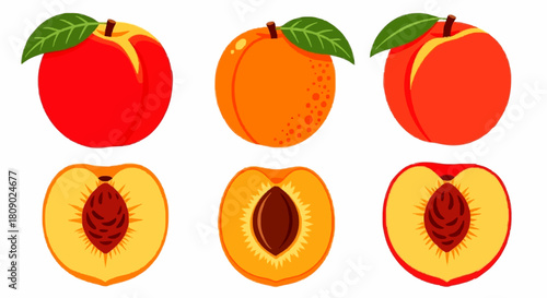 A collection of three different illustrated peaches, both whole with leaves and cut in half to show the pit and flesh.