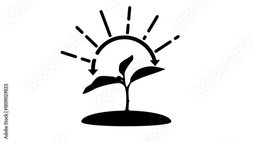 photosynthesis symbol, black isolated silhouette
