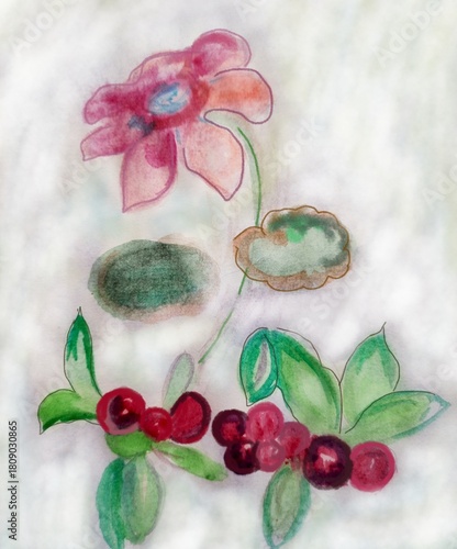 A bright watercolor painting of  lingonberry and cyclamen