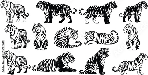 Tiger silhouettes in various poses on a white background