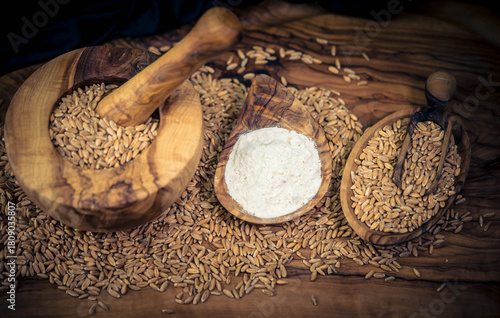 Dinkel Triticum aestivum auf Olivenholz