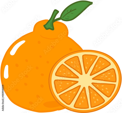 orange fruit vector illustration